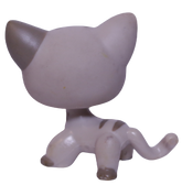 #0468 Shorthair Cat